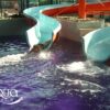 Colorant piscine