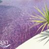 Colorant piscine