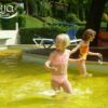 Colorant piscine