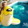 Colorant piscine